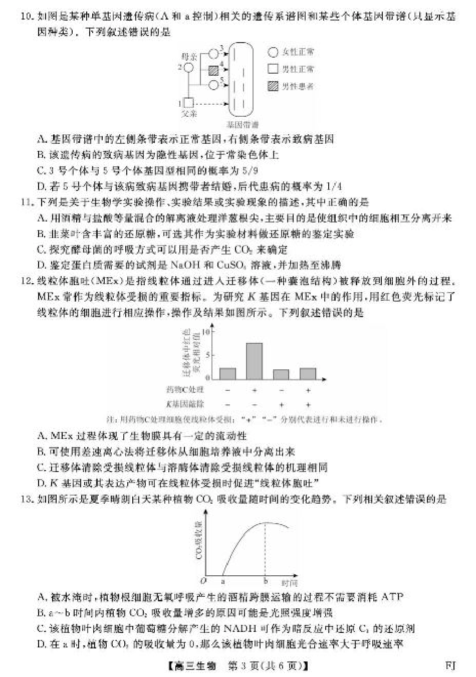福建省百校2026届高三上学期10月联合测评生物试题（含答案）.pdf_第3页