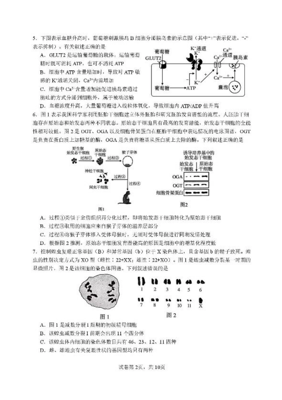 福建省厦门第一中学2025-2026学年高三上学期10月月考生物试题（含答案）.pdf_第2页
