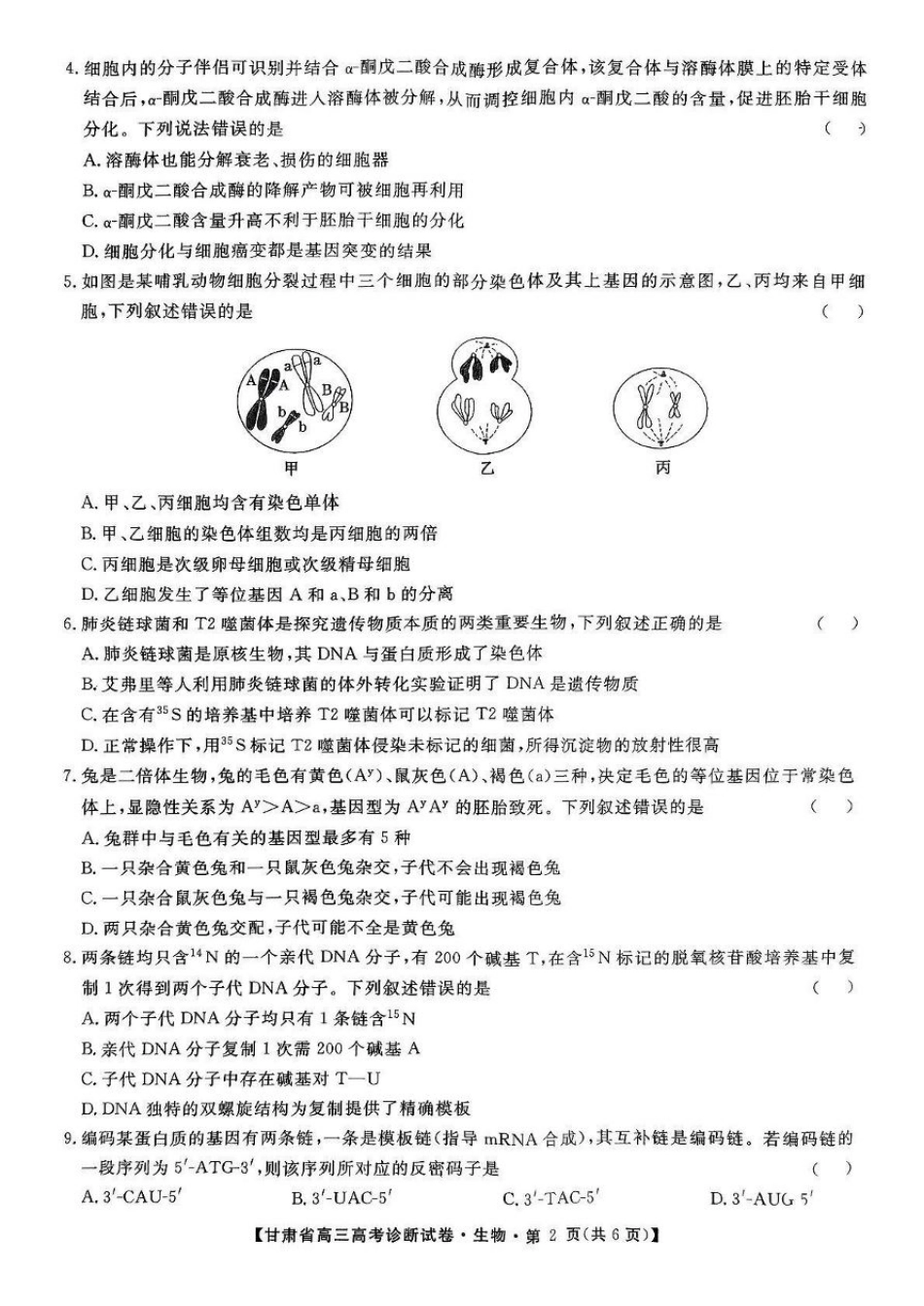 甘肃省2025届高三上学期12月高考诊断生物+答案.pdf_第2页