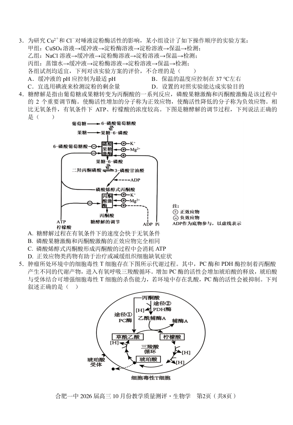 高三10月份教学质量测评生物卷.pdf_第2页