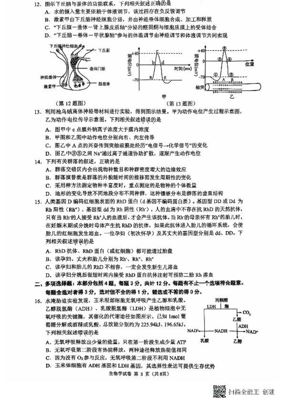 高三生物期中考试试题与答案 - 副本 高三生物期中试题.pdf_第3页