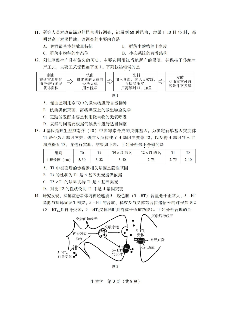 广东省2025届普通高中毕业班第二次调研考试生物试卷_11月调考·生物试卷.pdf_第3页