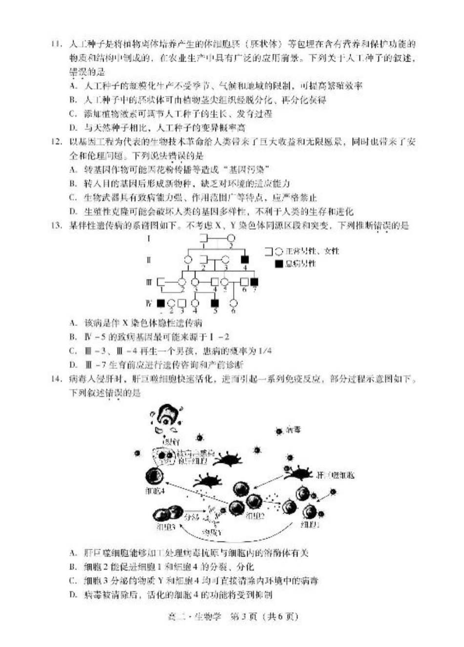 广东省揭阳市2024-2025学年高二下学期期末教学质量测试生物试卷（含答案）.pdf_第3页