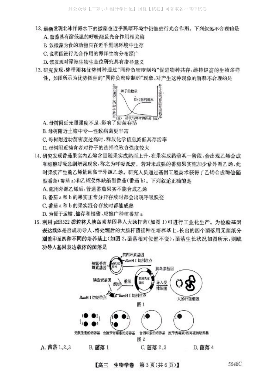 广东省清远市2024-2025学年高三上学期第一次模拟考试生物_清远一模生物试卷.pdf_第3页