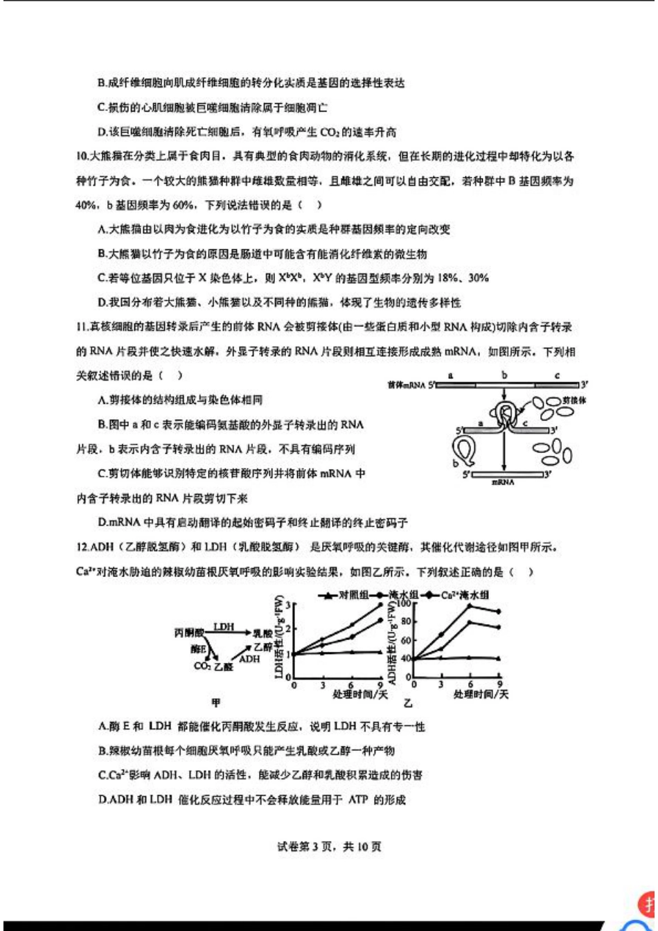 广东省深圳市高级中学2024-2025学年高三上学期第二次诊断考试生物学.pdf_第3页