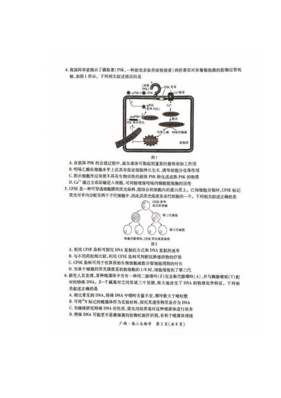 广西2025届高三下学期开学考（上进联考）生物+答案.pdf_第2页