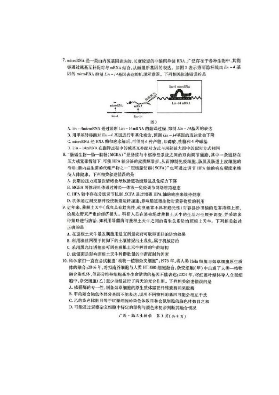 广西2025届高三下学期开学考（上进联考）生物+答案.pdf_第3页