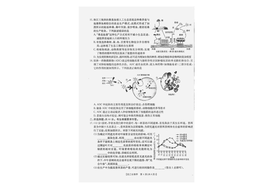 广西部分学校2024-2025学年高二下学期6月联合摸底考试生物试卷（含答案）.pdf_第3页