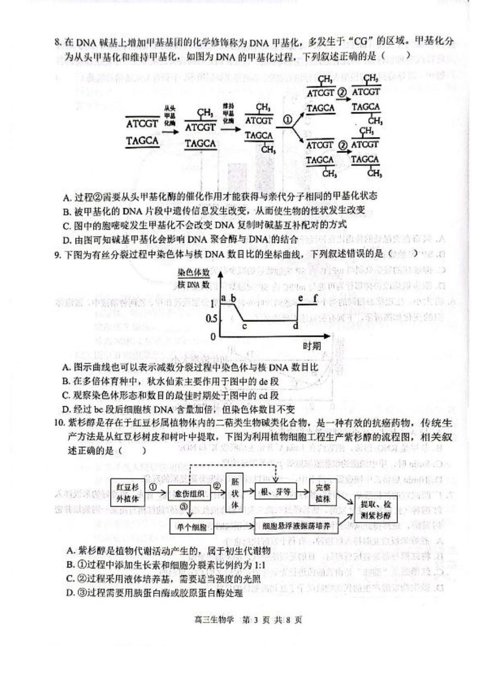 广西名校2025届高中毕业班12月模拟考试_生物试卷.pdf_第3页