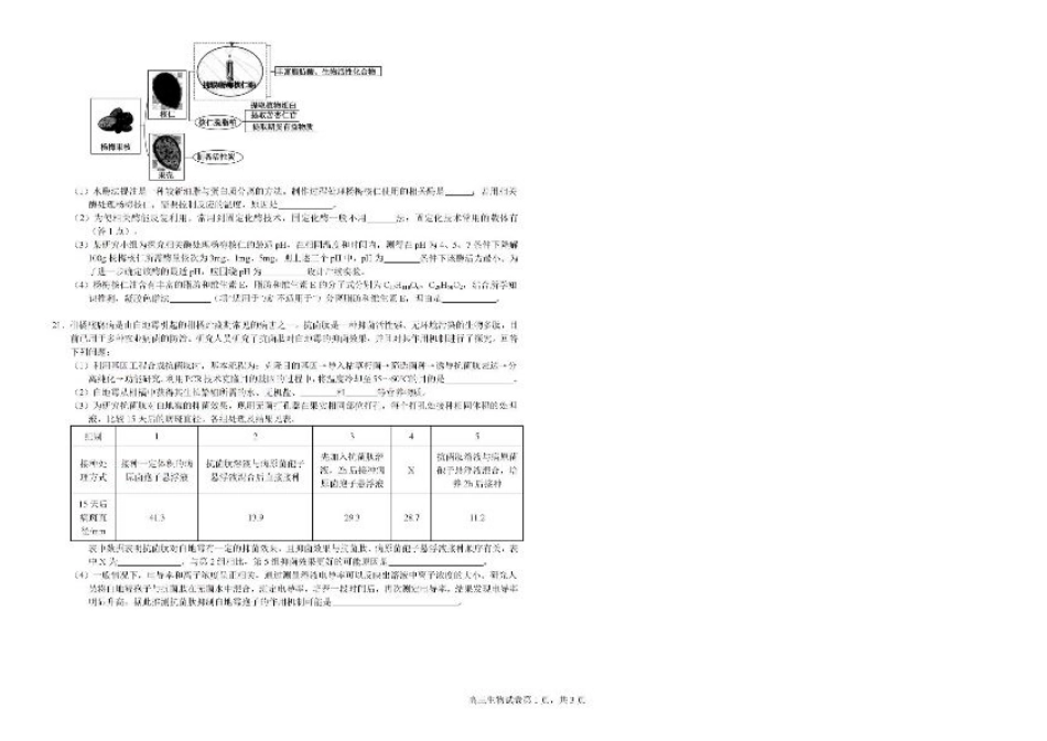 广西钦州市示范性高中2024-2025学年高三上学期开学考试生物试题.pdf_第3页