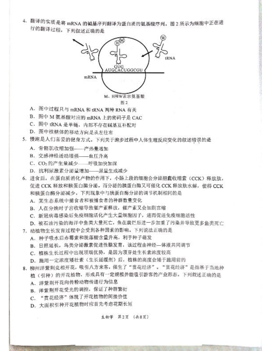 广西省柳州市2025届高三第三次模拟考试生物+答案.pdf_第2页