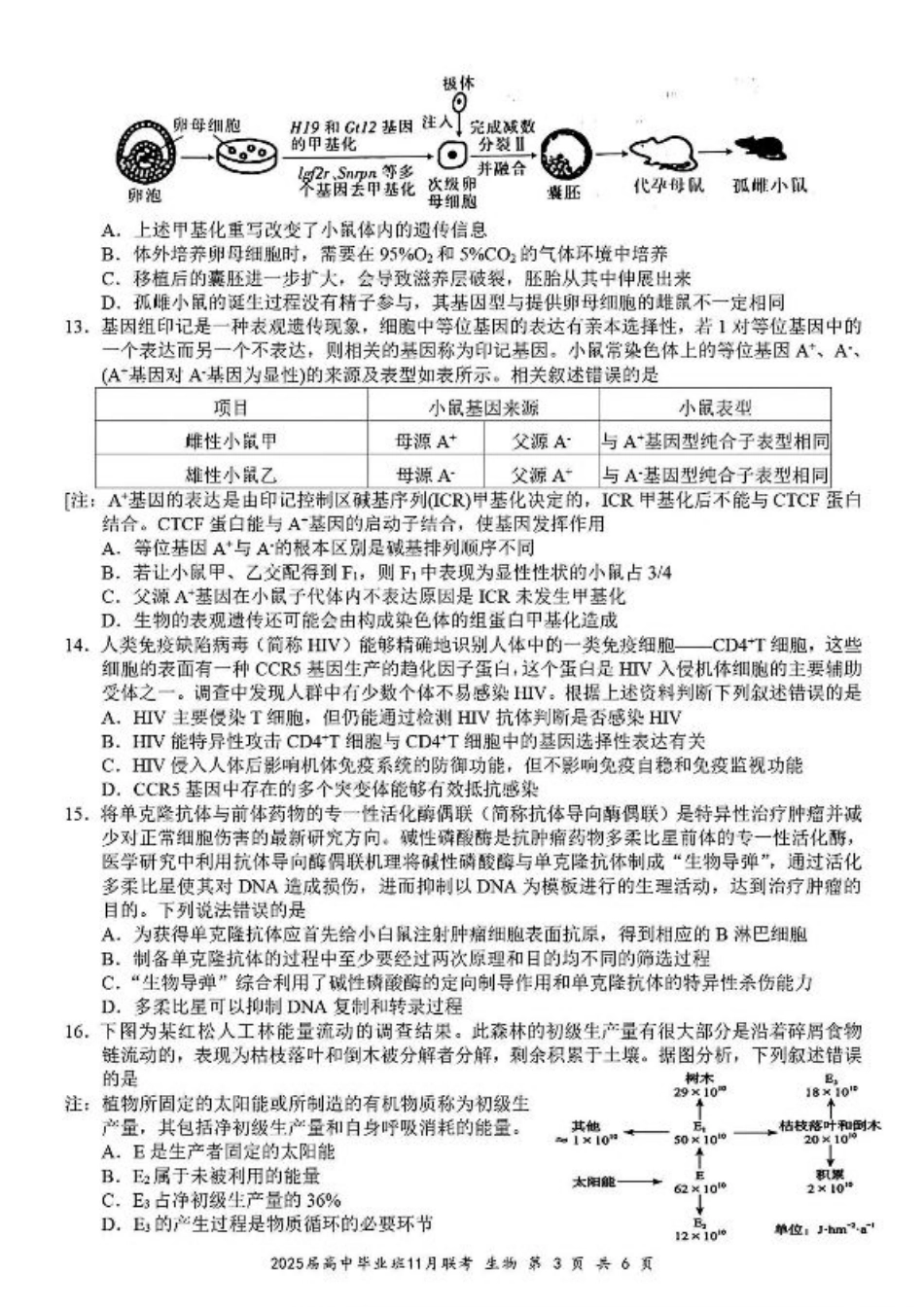 广西新课程教研联盟2025届高三毕业班11月联考生物_生物.pdf_第3页