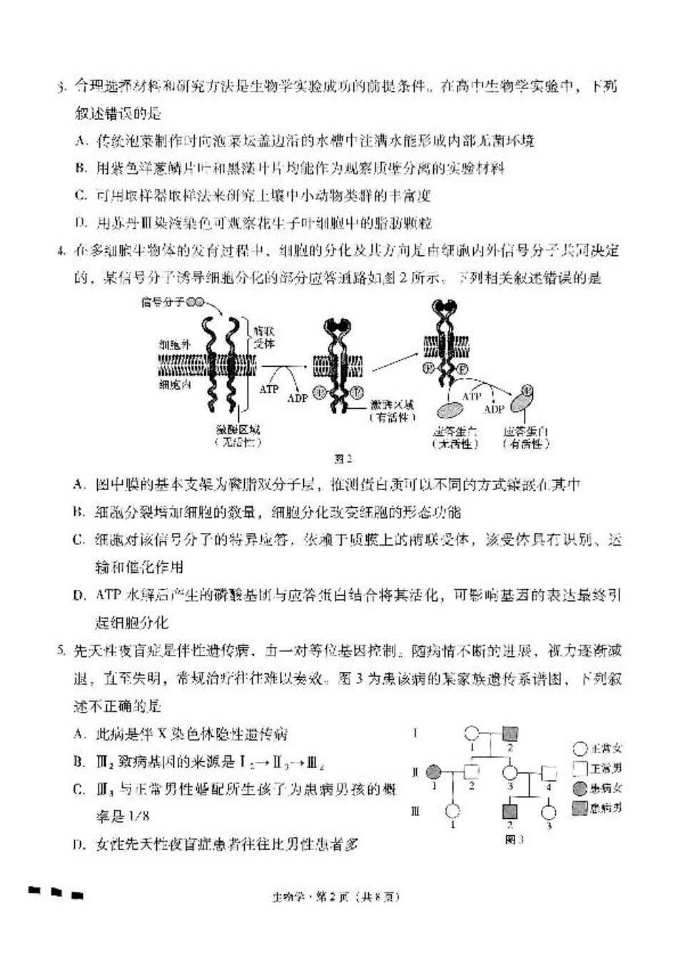 贵州省贵阳市七校2025届高三下学期联合考试（三）生物+答案.pdf_第2页