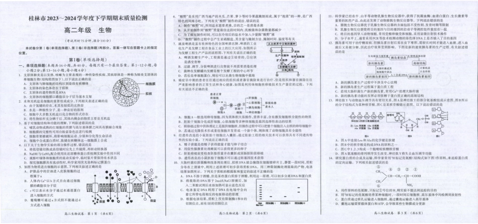 桂林2024年春季期末高二生物试卷.pdf_第1页