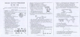 桂林2024年春季期末高二生物试卷.pdf