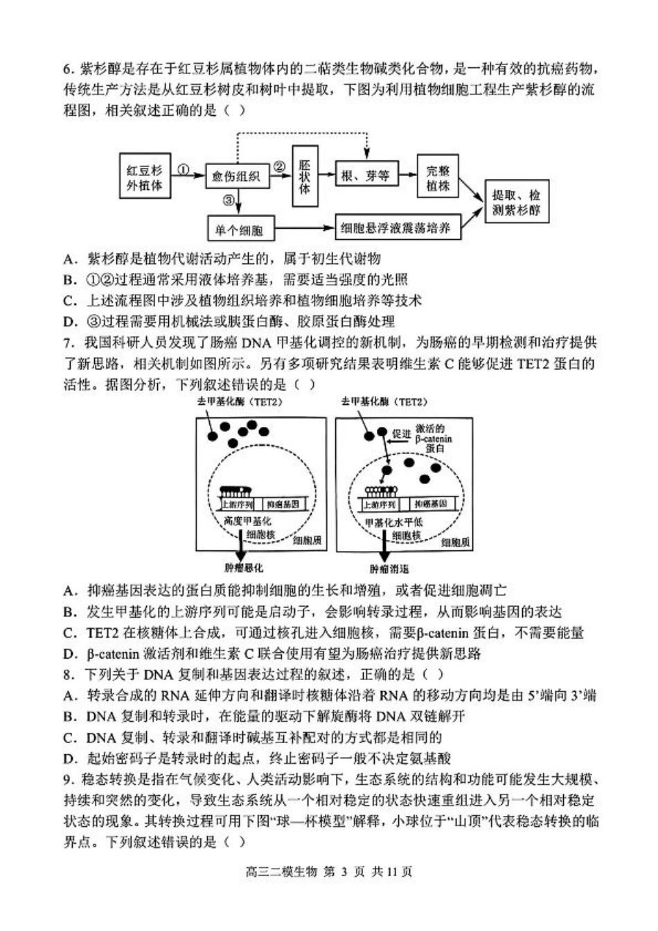 哈三中2025年高三学年第二次模拟考试生物.pdf_第3页