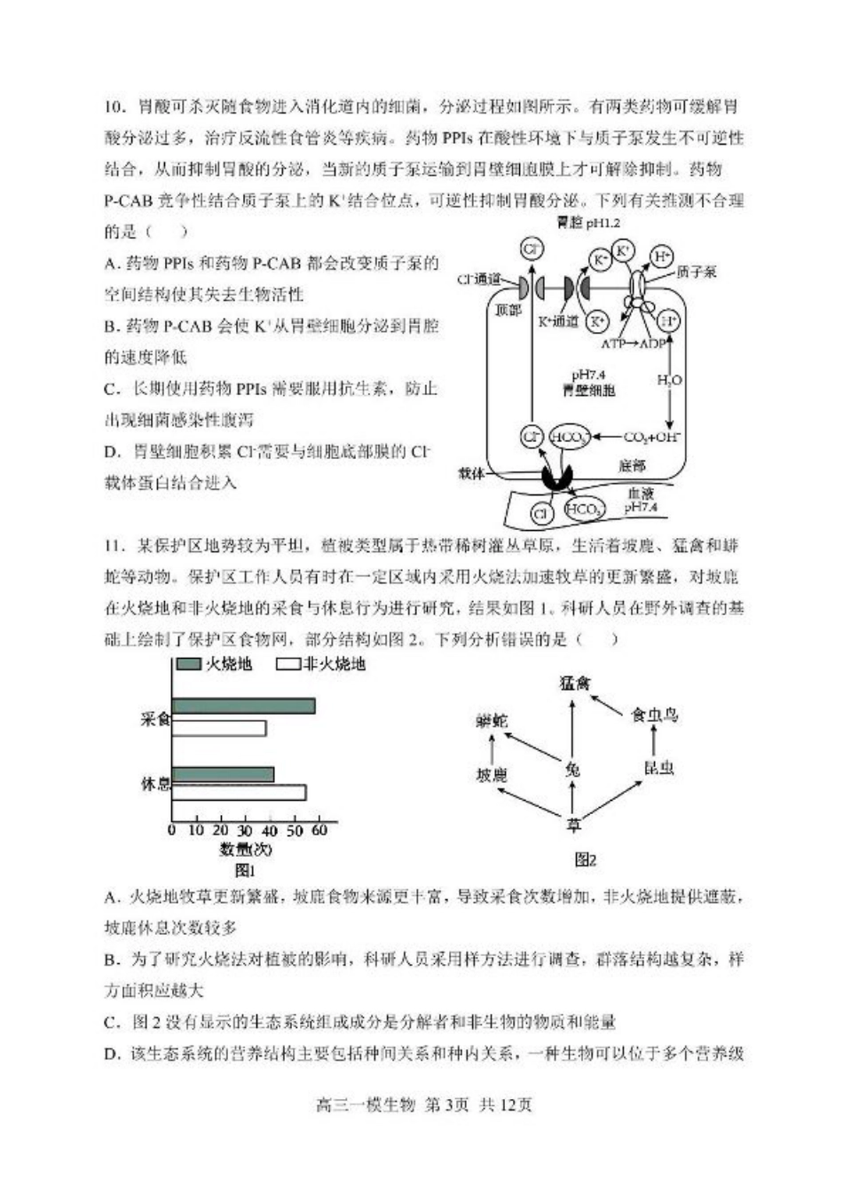 哈三中2025年高三学年第一次模拟考试生物试题+答案.pdf_第3页