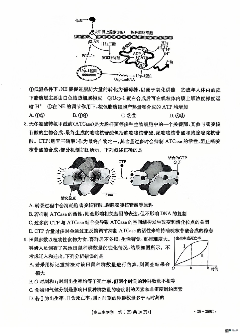 河北省“五个一”名校联盟2024-2025学年高三上学期12月月考试题 生物 PDF版含答案.pdf_第3页