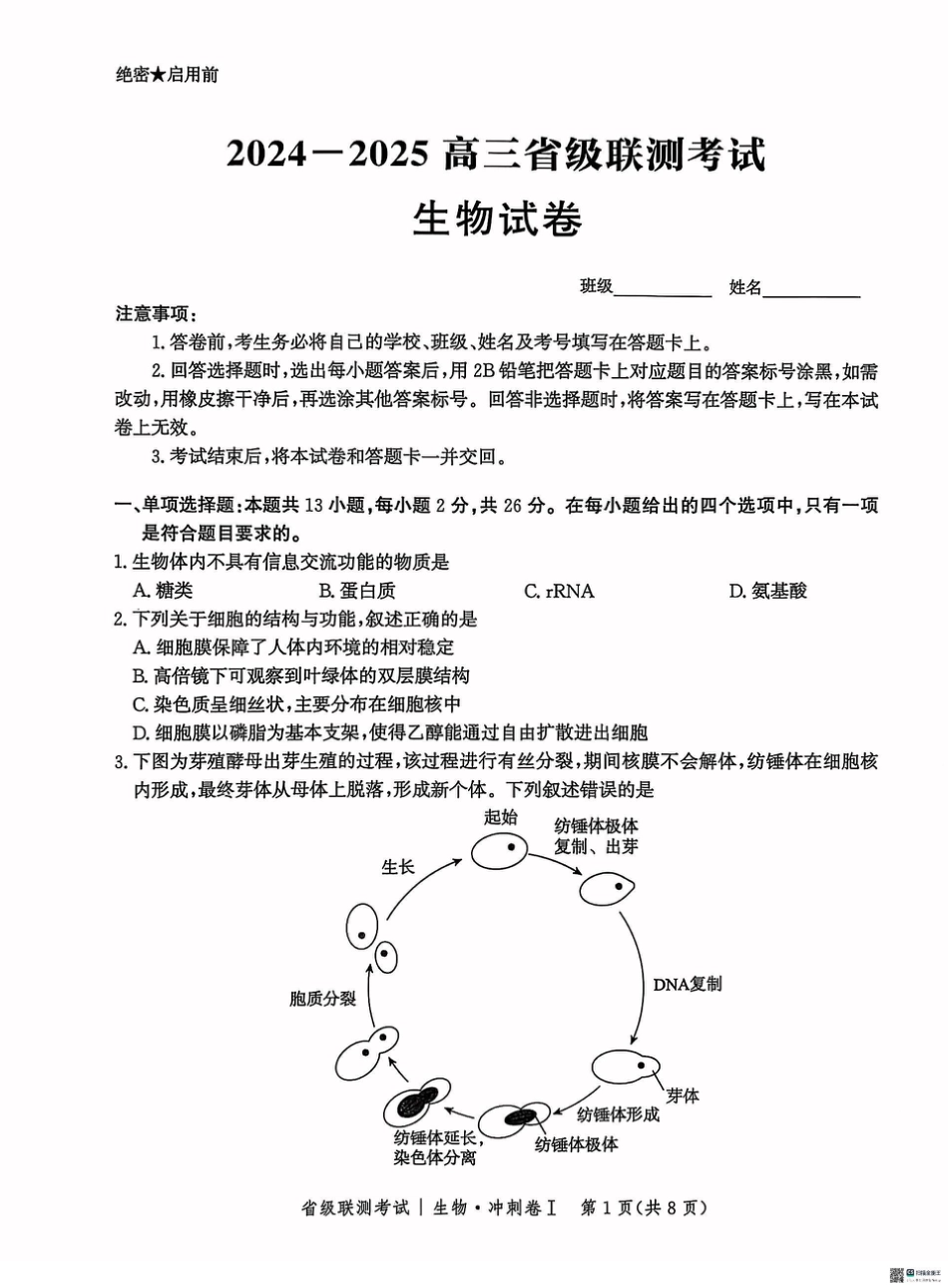 河北省2024-2025高三省级联测考试生物+答案.pdf_第1页