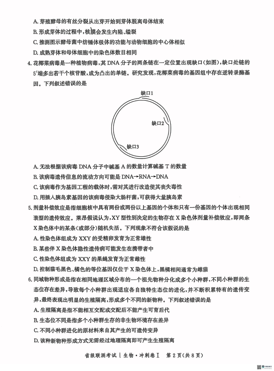 河北省2024-2025高三省级联测考试生物+答案.pdf_第2页