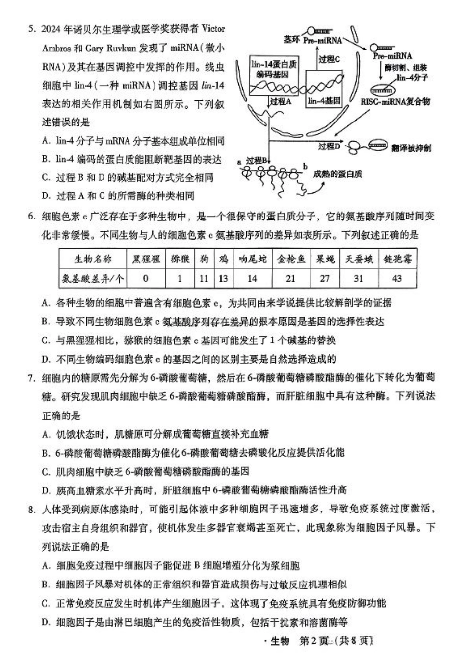 河北省2024-2025学年高三上学期11月阶段调研检测二生物.pdf_第2页