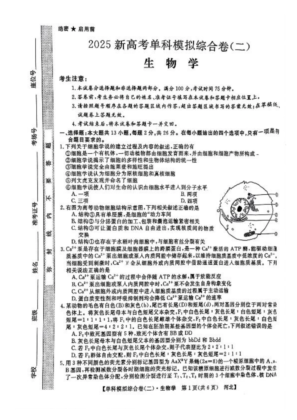 河北省2025届高三上学期新高考单科模拟综合卷（二）生物_生物试卷.pdf_第1页