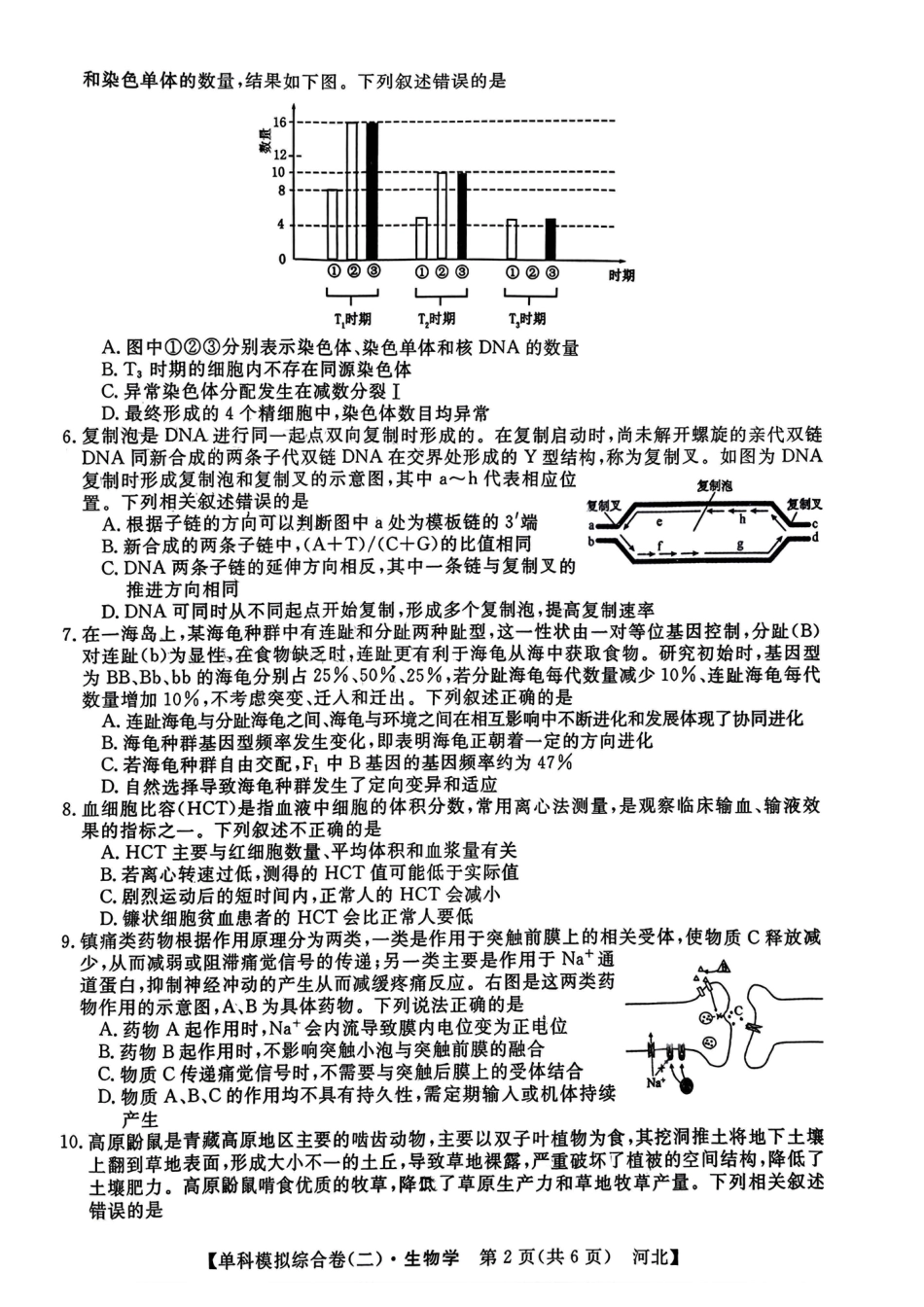 河北省2025届高三上学期新高考单科模拟综合卷（二）生物_生物试卷.pdf_第2页