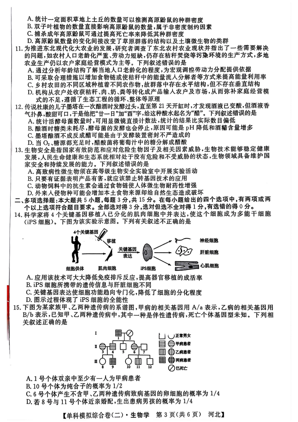 河北省2025届高三上学期新高考单科模拟综合卷（二）生物_生物试卷.pdf_第3页