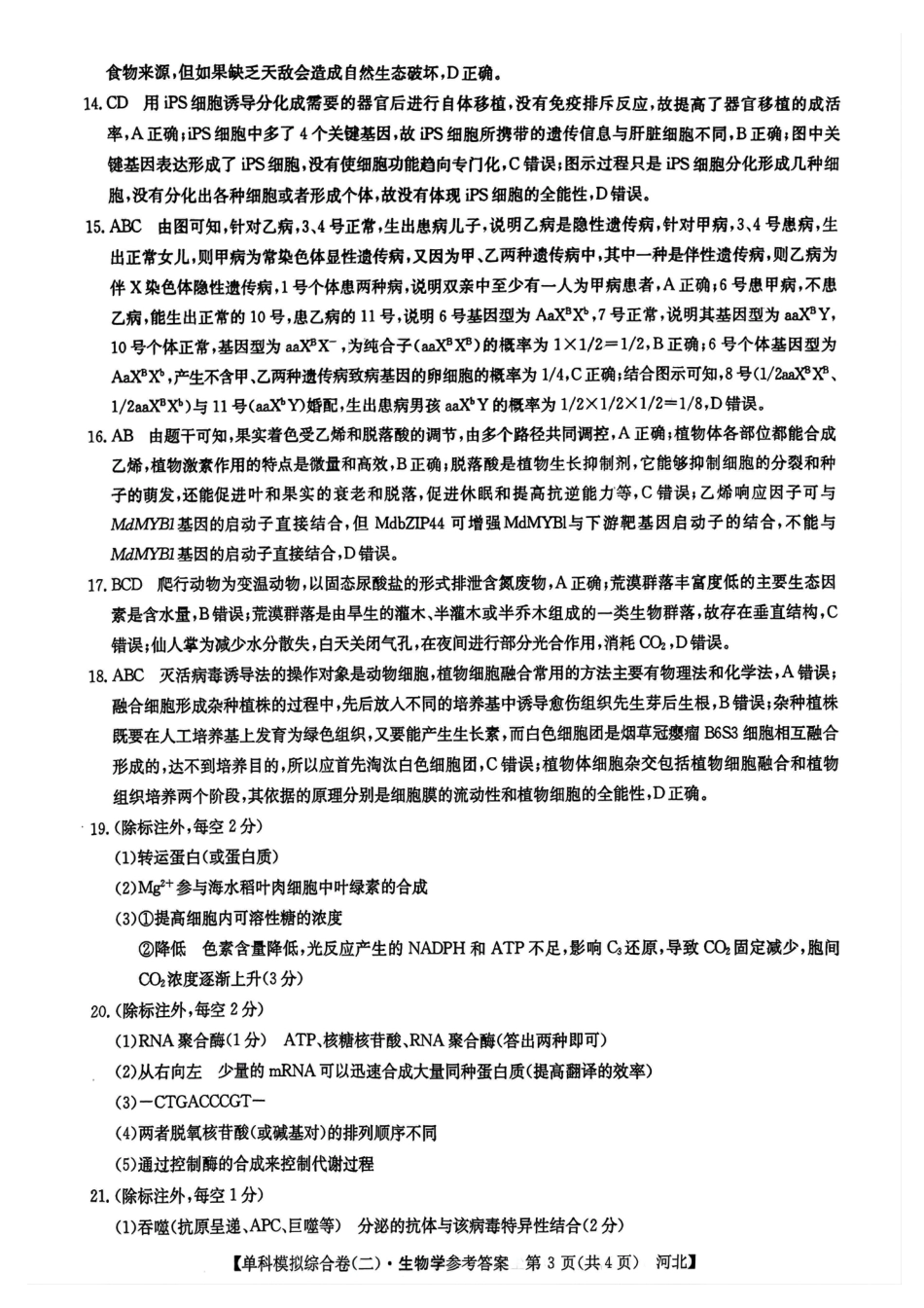 河北省2025届高三上学期新高考单科模拟综合卷（二）生物_生物试卷答案.pdf_第3页