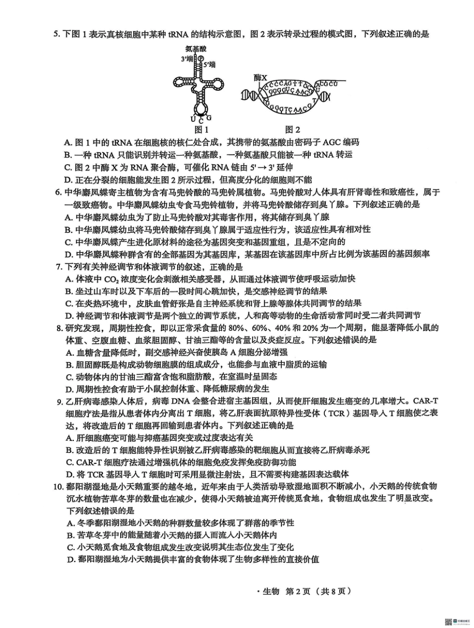 河北省2025届高三学生全过程纵向评价（四）生物试题（含答案）.pdf_第2页