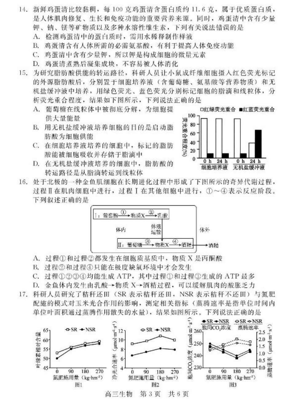 河北省NT20 2025—2026学年高三上学期10月联考生物试题（含答案）.pdf_第3页