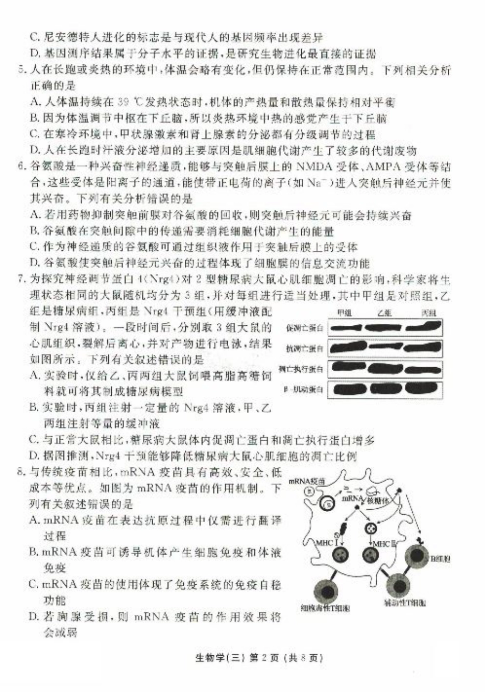 河北省沧州市三校联考2024-2025学年高三上学期11月期中考试 生物 PDF版含解析.pdf_第2页