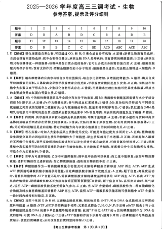 河北省衡水市2025-2026学年高三上学期第三次调研考试（26008C）生物答案.pdf
