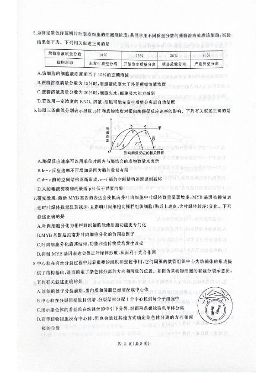 河北省衡水市2025-2026学年高三上学期四调考试生物试题（含答案）.pdf_第2页