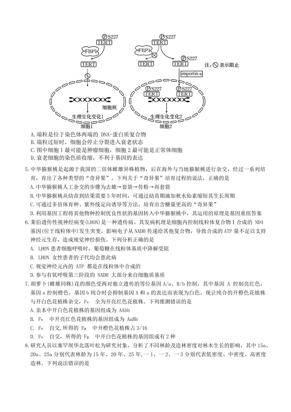 河北省衡水市冀州中学2025-2026学年高三上学期开学摸底考试 生物（含答案）.pdf_第2页
