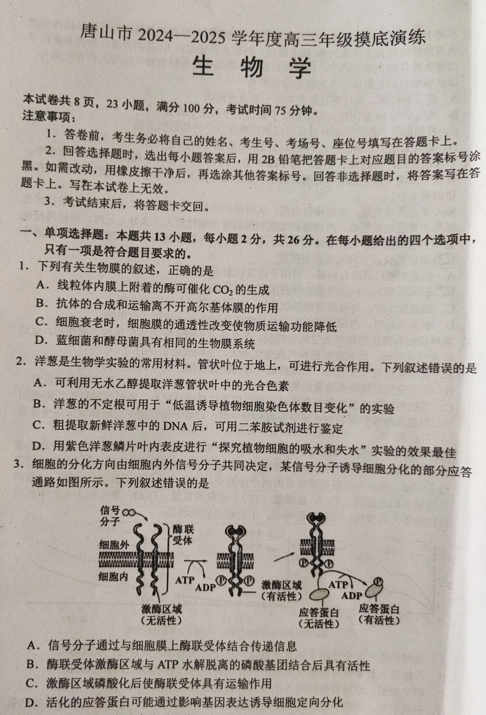 河北省唐山市2024-2025学年高三上学期摸底演练生物试题.pdf_第1页