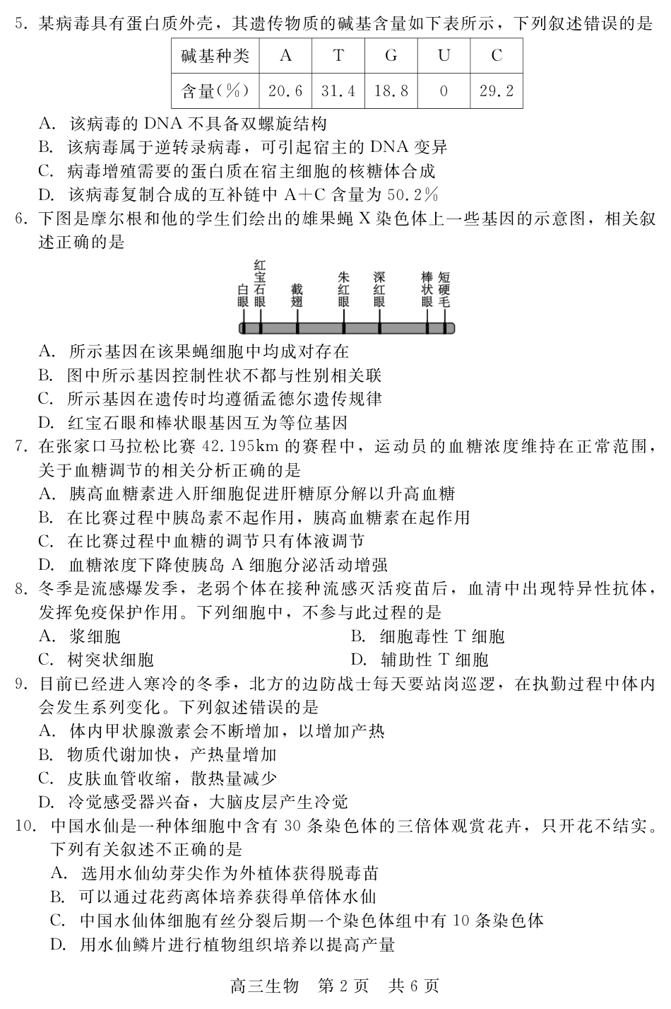 河北省新时代NT教育2024-2025学年第一学期12月高三阶段测试生物试卷+答案.pdf_第2页