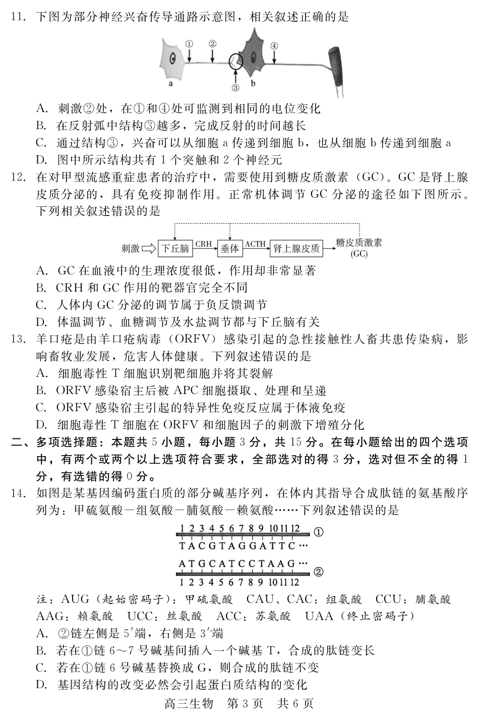 河北省新时代NT教育2024-2025学年第一学期12月高三阶段测试生物试卷+答案.pdf_第3页