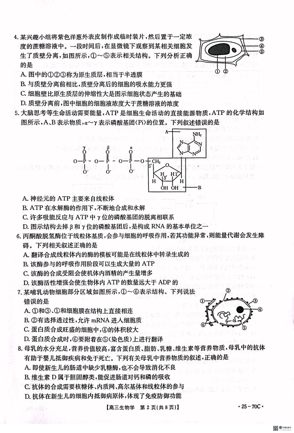河北省邢台市质检联盟2024-2025学年高三上学期10月月考试题 生物 PDF版含答案.pdf_第2页