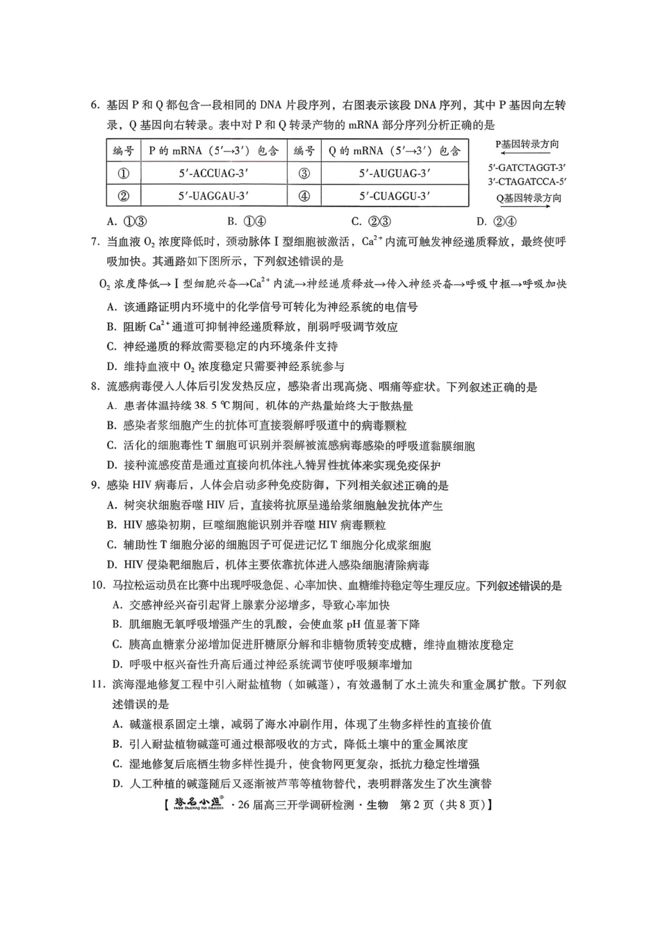 河北省琢名小渔名校联考2025-2026学年高三上学期开学调研检测生物试题（含答案）.pdf_第2页