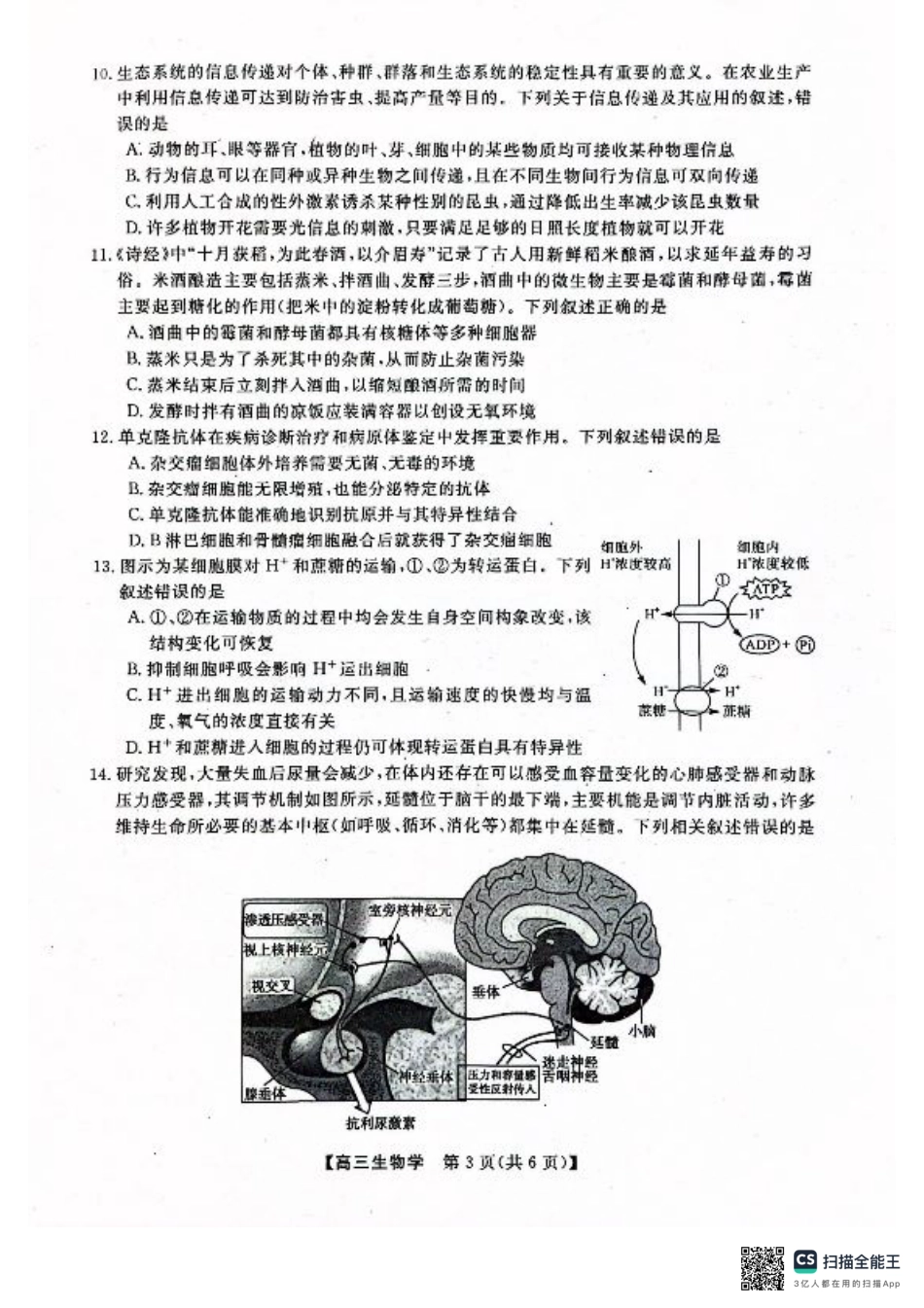 河池市2024年秋季学期高三期末学业水平质量检测生物.pdf_第3页