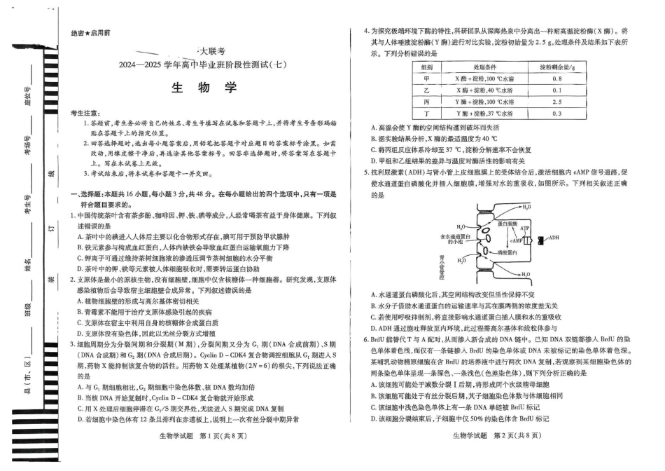 河南大联考2024-2025学年下高三年级阶段性测试（七）生物试题（含答案）.pdf_第1页