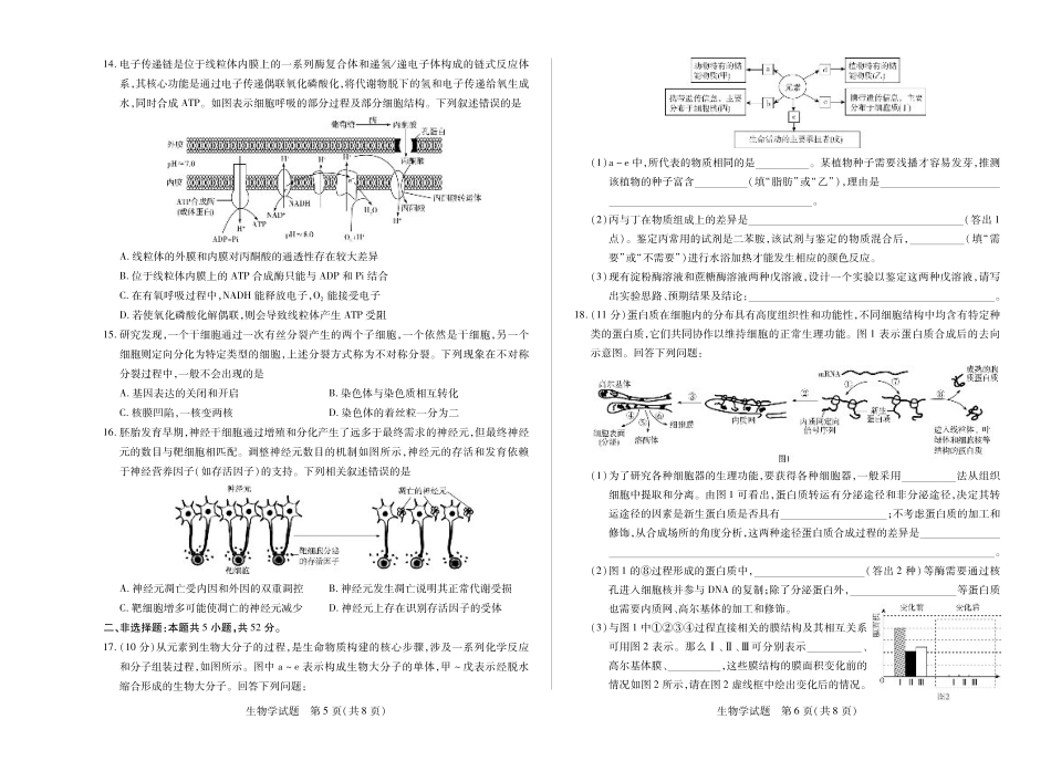 河南省2025—2026学年（上）高三阶段性检测生物.pdf_第3页
