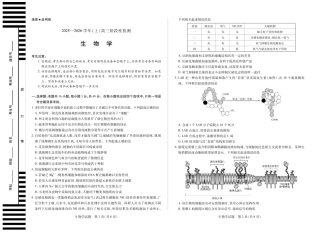 河南省2025—2026学年（上）高三阶段性检测生物.pdf