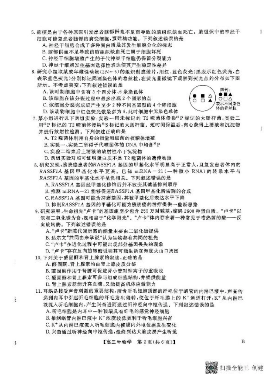 河南省部分学校2024-2025学年高三下学期2月质量检测生物试卷+答案.pdf_第2页