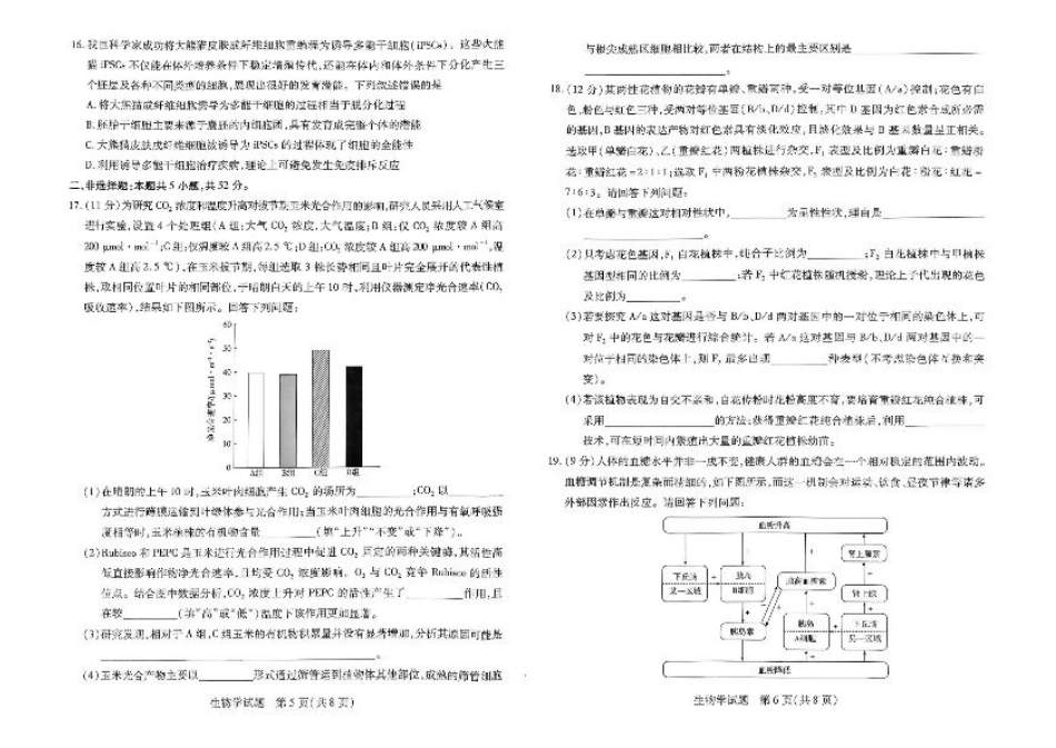 河南省大联考2024-2025学年高三上学期1月期末生物.pdf_第3页