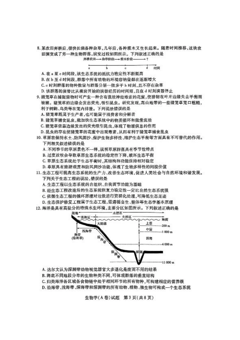 河南省大联考2024-2025学年高中毕业班阶段性测试（四）生物_生物试卷.pdf_第3页