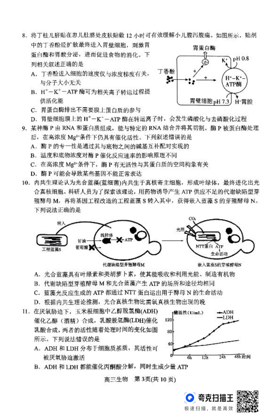 河南省南阳市2024-2025学年高三上学期11月期中考试生物试题.pdf_第3页