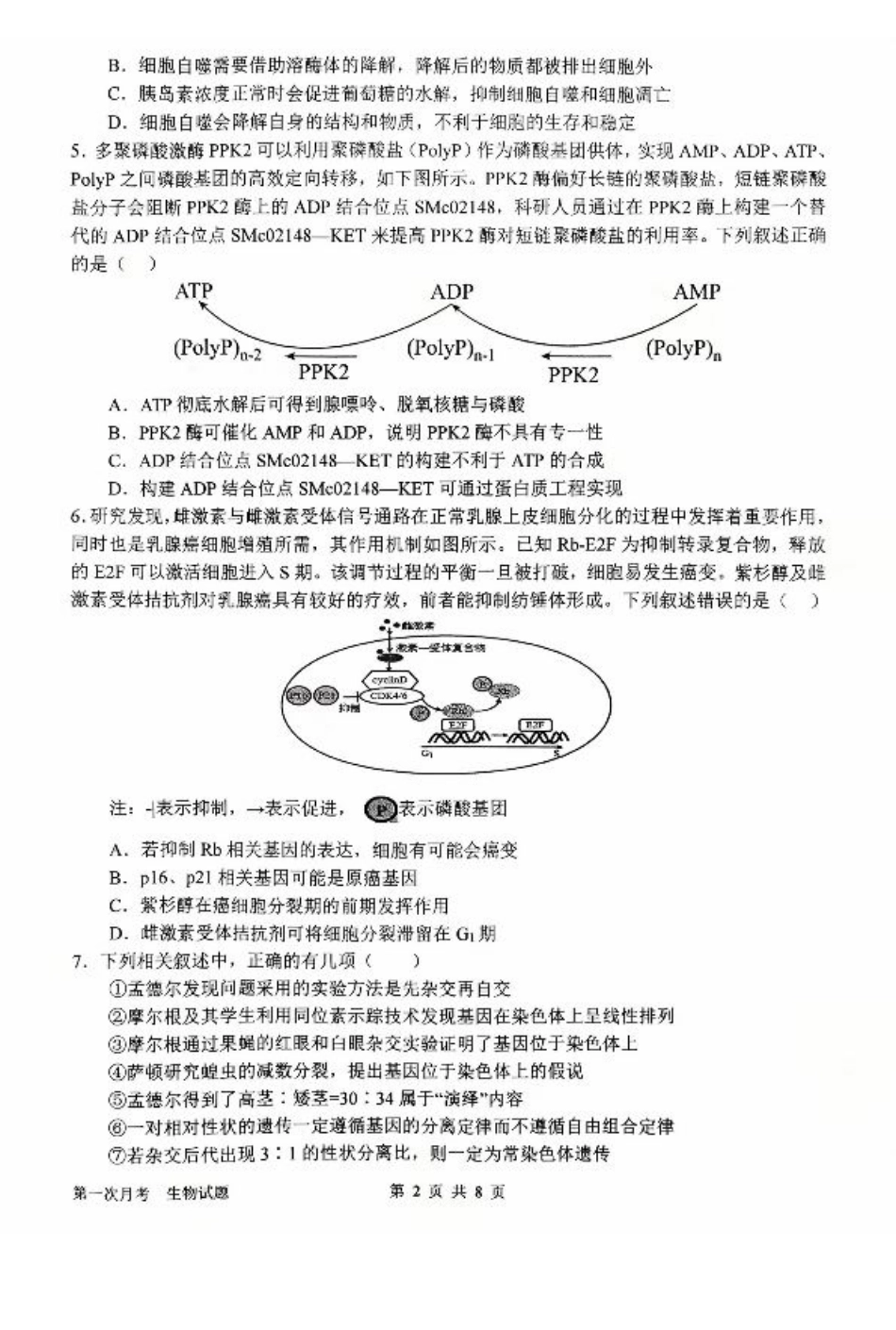 河南省南阳市第一中学2026届高三上学期第一次月考试题 生物 PDF版含答案.pdf_第2页