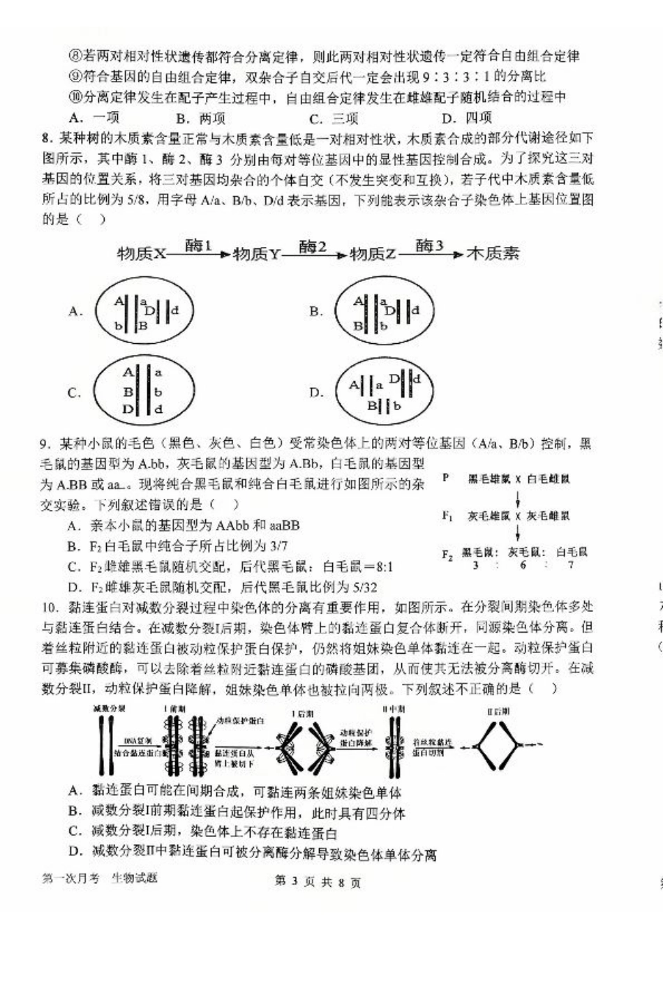 河南省南阳市第一中学2026届高三上学期第一次月考试题 生物 PDF版含答案.pdf_第3页